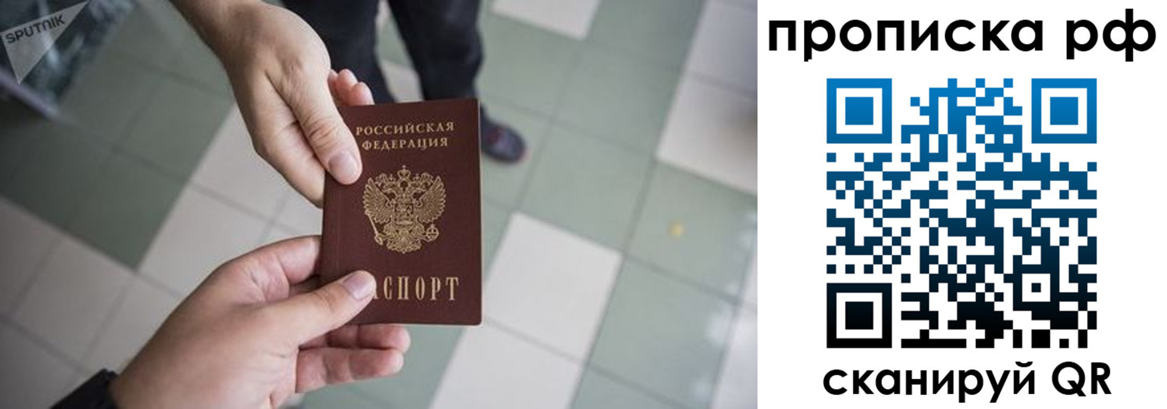 прописка гарантия в Саратовской области